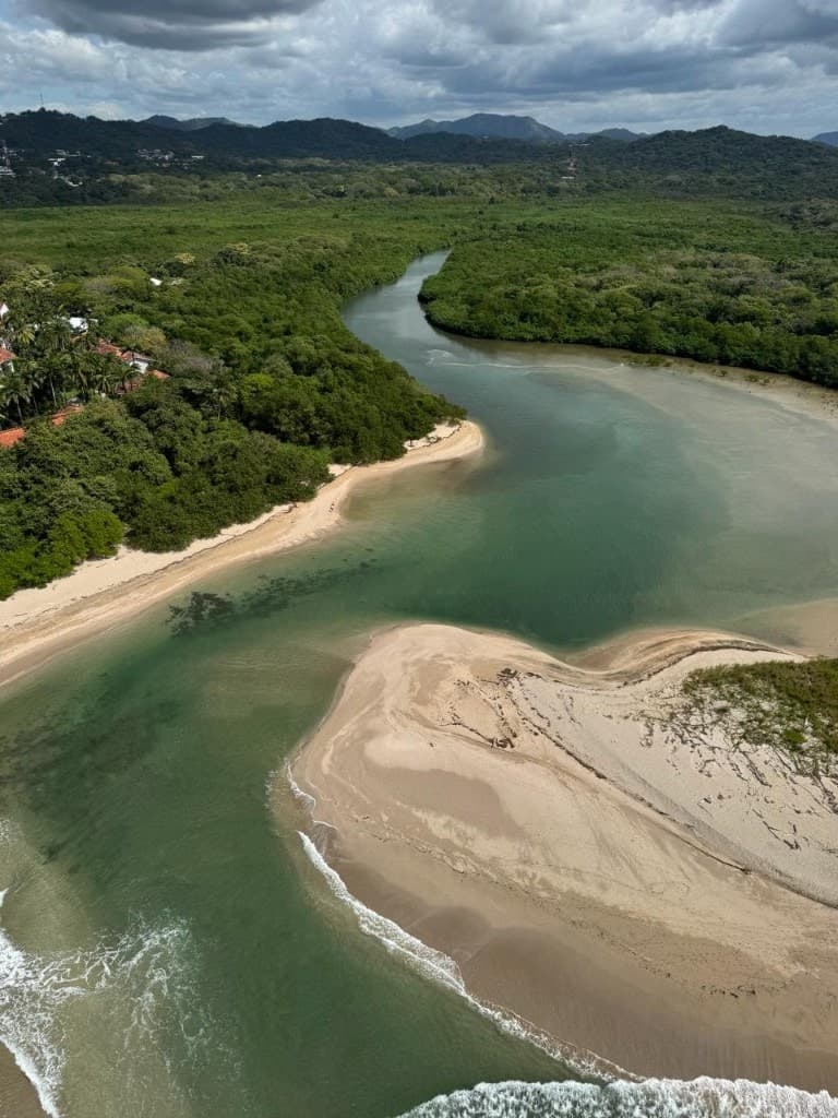 The Estuary
