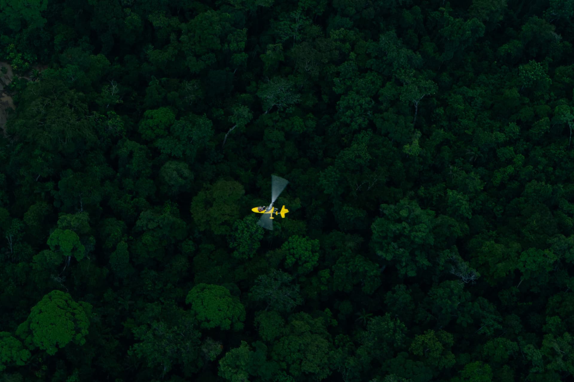 A gyrocopter in the air