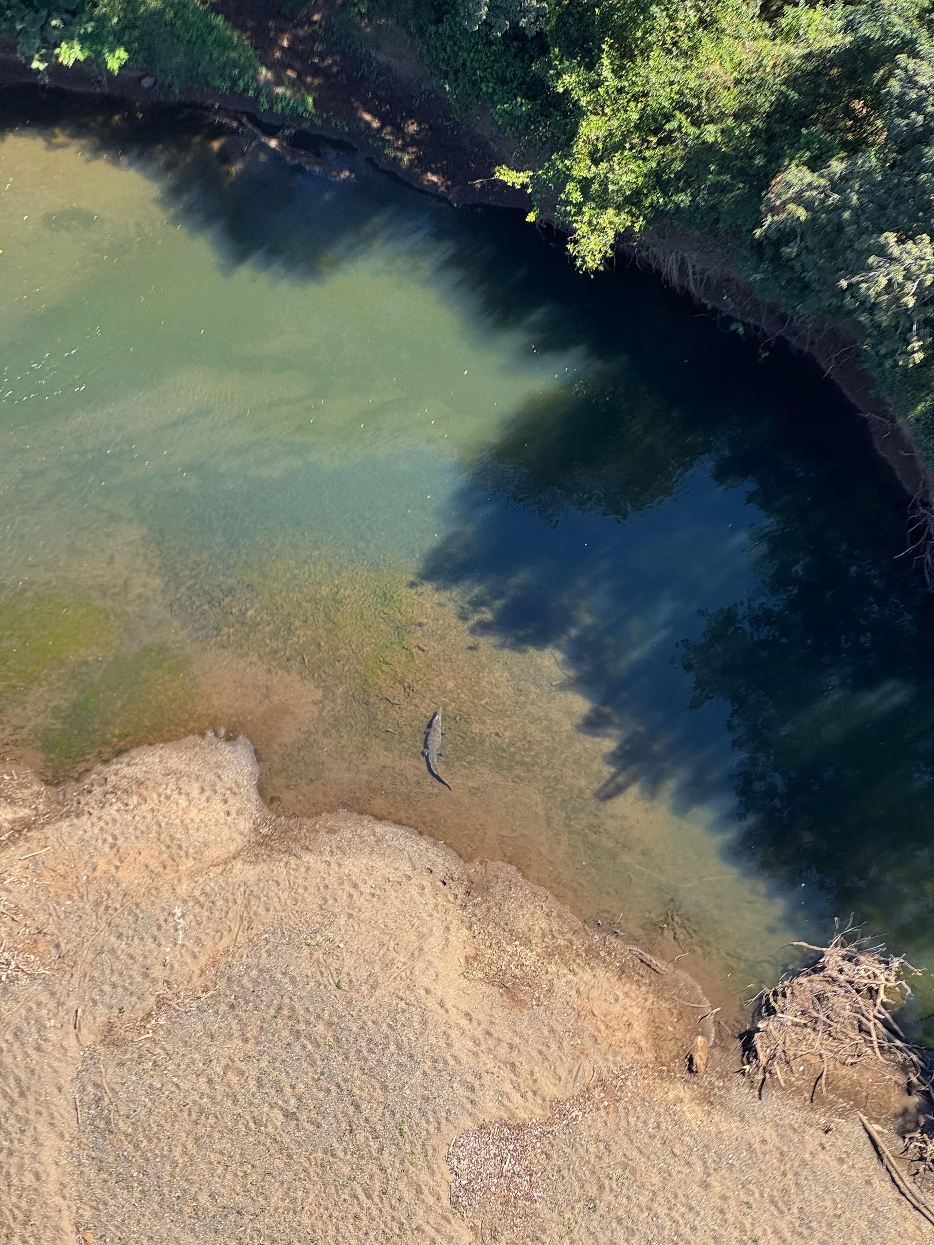 River Mouths