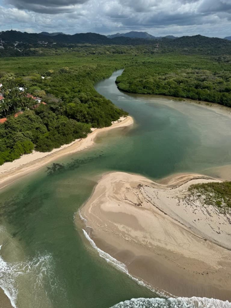 The Estuary